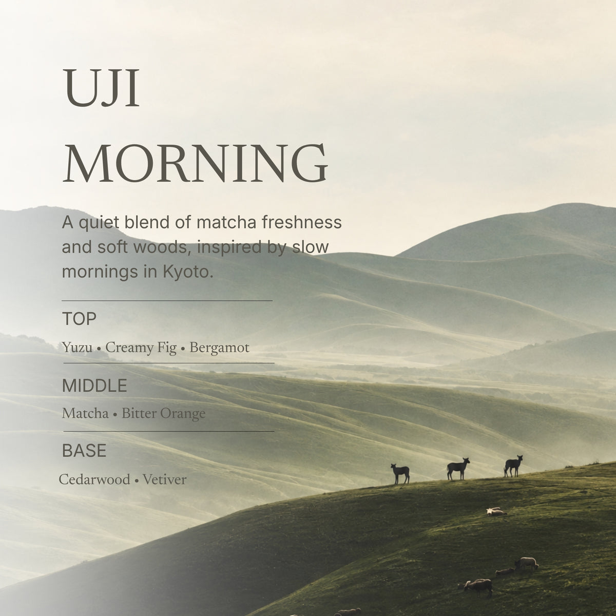 Uji Morning Room and Linen Mist 100 ml