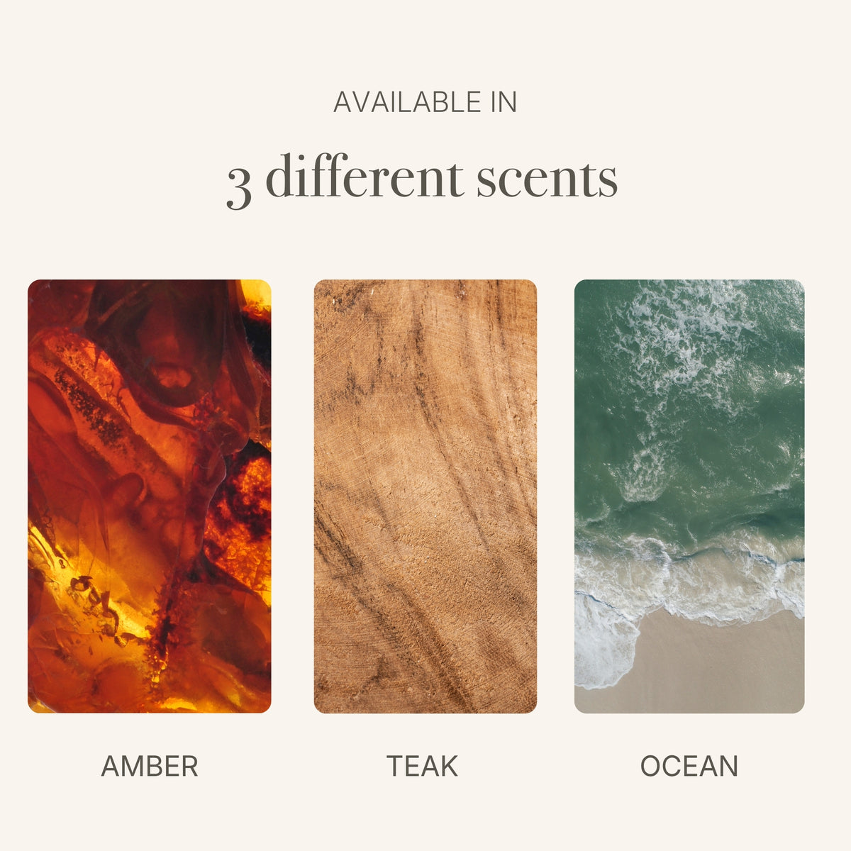 Starter Kit – Metal Clip + Scented Stone Chip