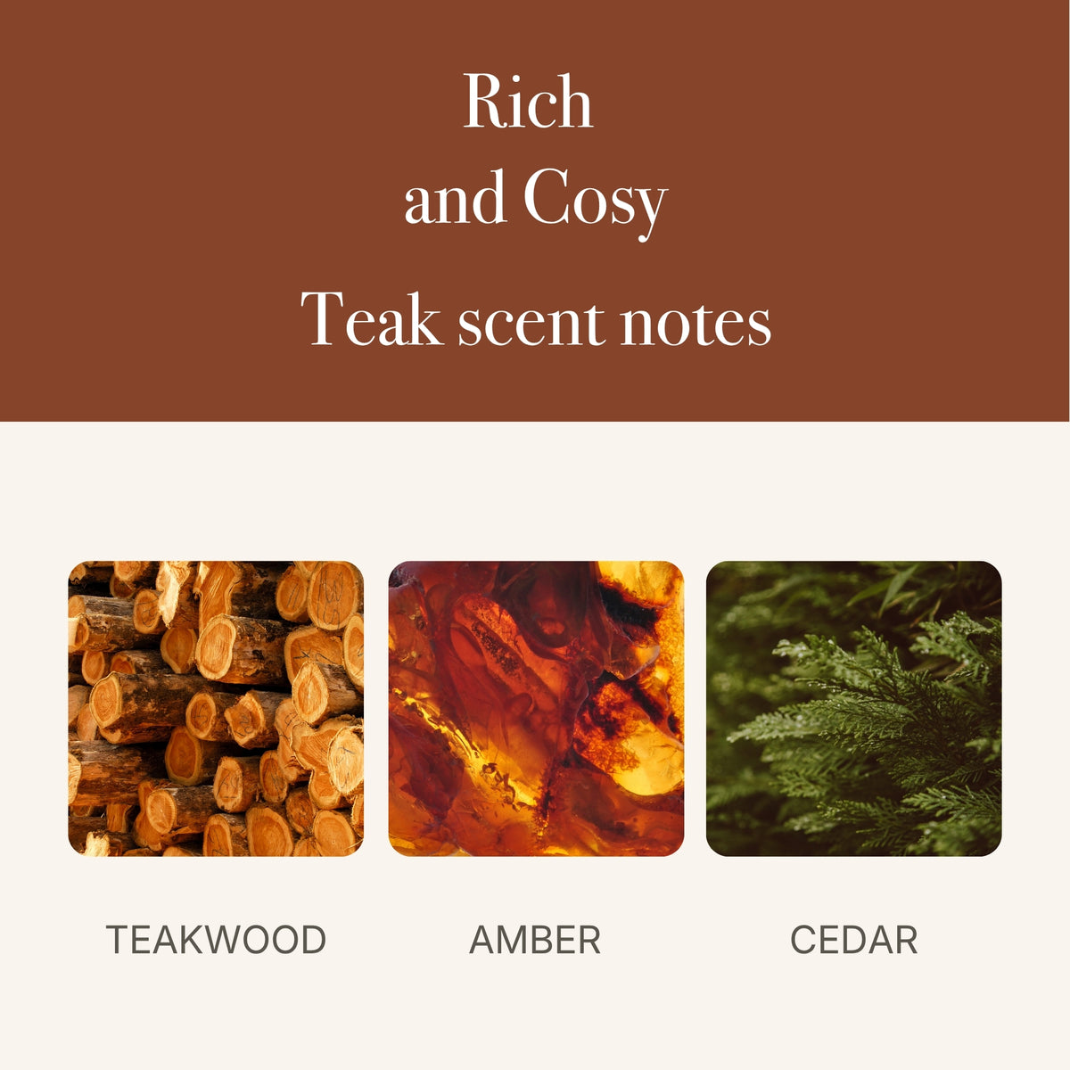 Starter Kit – Metal Clip + Scented Wood Chip